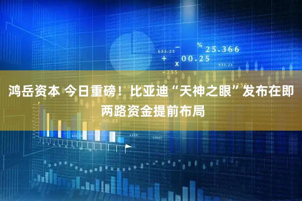 鸿岳资本 今日重磅！比亚迪“天神之眼”发布在即 两路资金提前布局