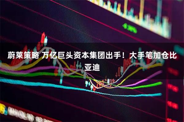 蔚莱策略 万亿巨头资本集团出手！大手笔加仓比亚迪