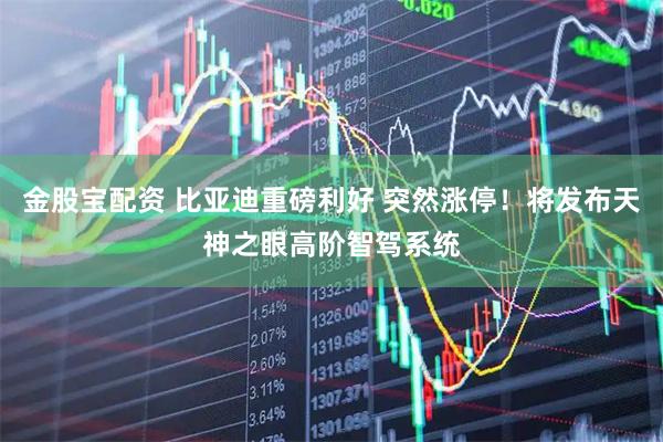 金股宝配资 比亚迪重磅利好 突然涨停！将发布天神之眼高阶智驾系统