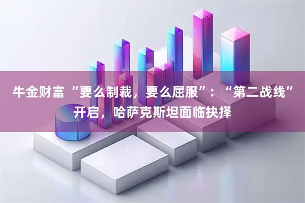 牛金财富 “要么制裁，要么屈服”：“第二战线”开启，哈萨克斯坦面临抉择
