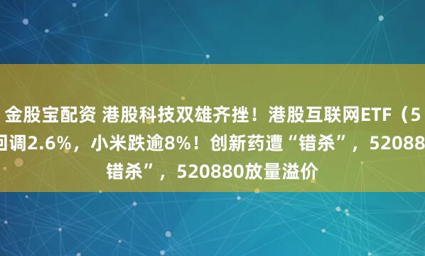 金股宝配资 港股科技双雄齐挫！港股互联网ETF（513770）回调2.6%，小米跌逾8%！创新药遭“错杀”，520880放量溢价