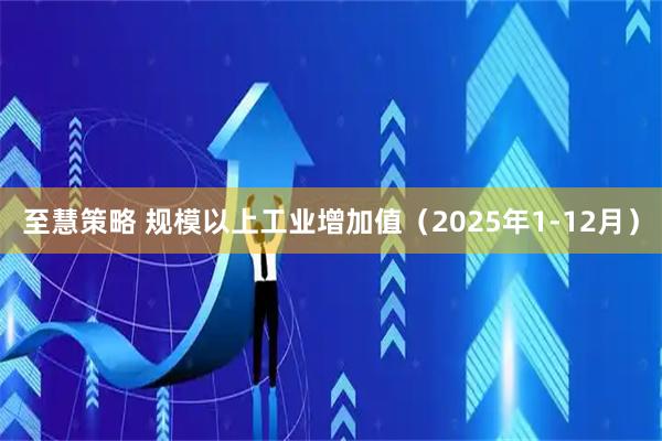 至慧策略 规模以上工业增加值(2025年1-12月)