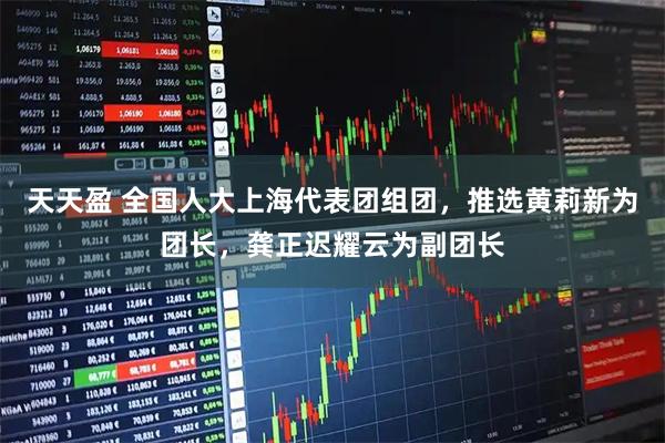 天天盈 全国人大上海代表团组团,推选黄莉新为团长,龚正迟耀云为副团长